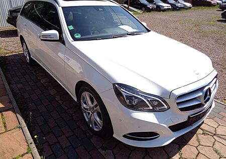 Mercedes-Benz E 220 BlueTec -8Fach Bereift