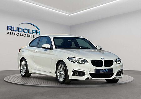 BMW 230 i M SPORT COUPÉ AUTOMATIK 1. HAND GARANTIE