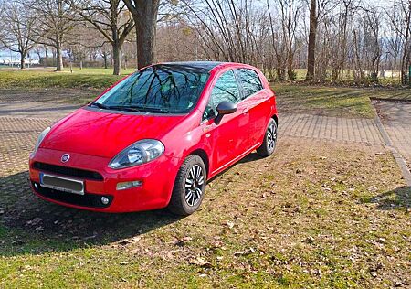 Fiat Punto 1.2 8V Classic
