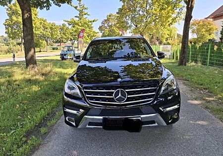 Mercedes-Benz ML 250 CDI BlueTec (166.004)