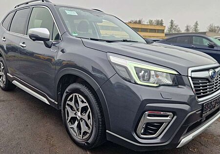 Subaru Forester Active 1.Hand LED Kamera ACC AHK