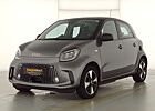 Smart ForFour EQ passion 22kw Plus+ Winter-Paket+Pano+