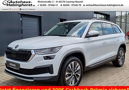 Skoda Kodiaq 2.0 TDI DSG Tour PDC Kamera Navi e.Hk. LED 19Alu