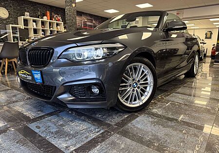 BMW 220 Baureihe 2 Cabrio i M Sport*Alcantara