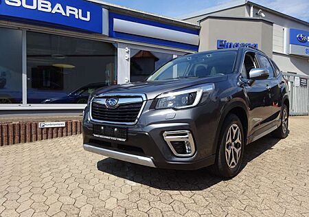 Subaru Forester Comfort