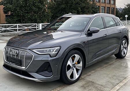 Audi e-tron 50 quattro S line/Head-up/Pano