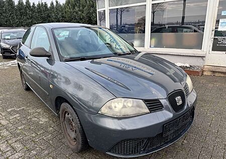 Seat Ibiza Amaro