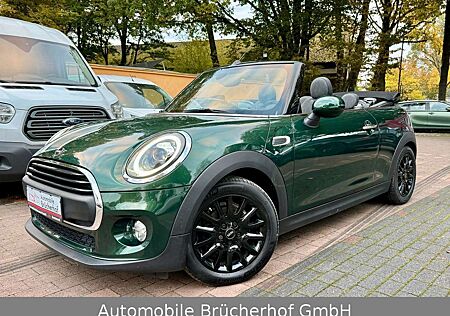 Mini One Cabrio Chili Navi/LED/SHZ/PDC/RacingGreen