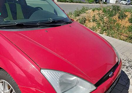 Ford Focus Trend