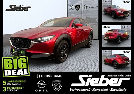 Mazda CX-30 SKYACTIV-X Hybrid Edition Kamera Navi SHZ