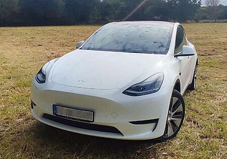 Tesla Model Y RWD