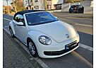 VW Beetle Volkswagen The Cabriolet 1.2 TSI (BlueMotion Tech)