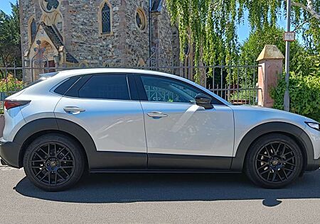 Mazda CX-30 e-SKYACTIVE G 150 HOMURA / Werksgarantie