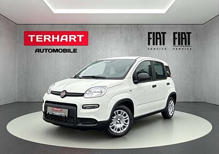 Fiat Panda 1.0 Mild Hybrid/PDC/Start&Stopp/Nebelscheinwerfer