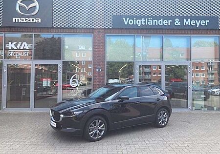 Mazda CX-30 Exclusive Automatik DASO- u. Design-Paket