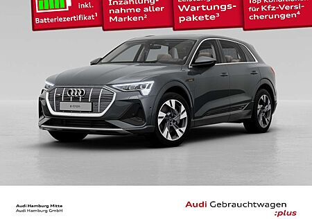 Audi e-tron 55 S line quattro 300 kW Nachtsicht Massa