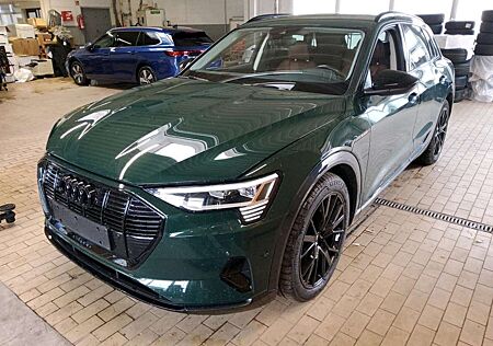 Audi e-tron 55 ADVANCED BLACK ACC/PANO/KEYLESS/KAMERA