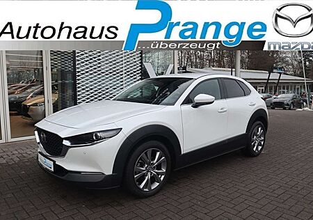 Mazda CX-30 M-Hybrid Selection G-122 DES-P A18 Allwetter NAVI