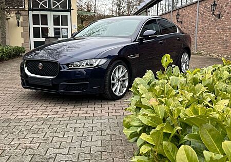 Jaguar XE Portfolio Panoramaglasdach AHK