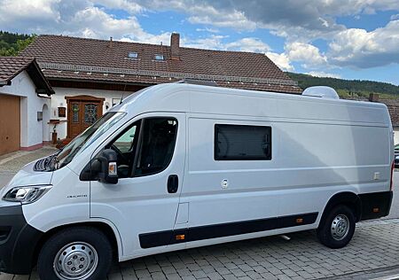 Fiat Ducato Camper / Van