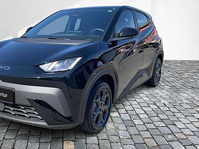 BYD Dolphin Sofort Lieferbar Boost Alu Link NAV NBA PDC RFK