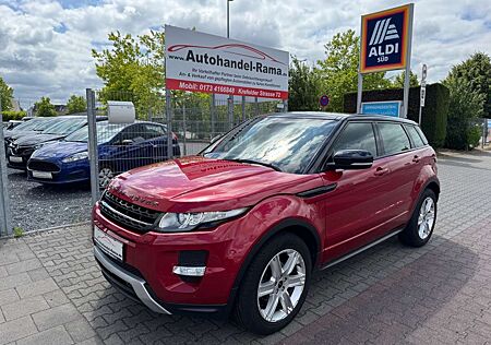 Land Rover Range Rover Evoque Dynamic V.Leder Navi Kamera