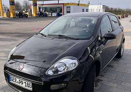 Fiat Punto Basis