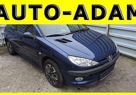 Peugeot 206 Grand Filou