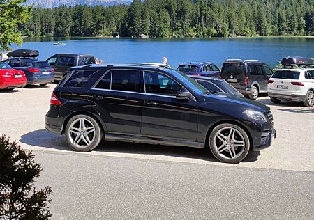 Mercedes-Benz ML 250 BlueTEC 4MATIC 7G-TRONIC