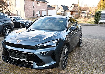Cupra Formentor 2.0 TSI 245kW VZ DSG 4Drive Voll