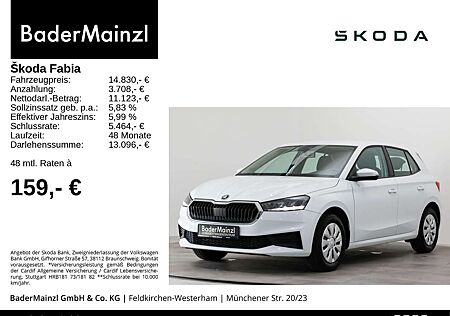 Skoda Fabia 1.0 TSI Ambition PDC LED Carplay Sitzheiz