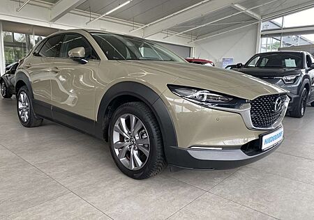 Mazda CX-30 2.5 Exclusive-Line AUTOMATIK Matrix, Bose, 360°