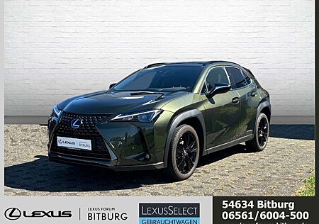 Lexus UX 250h Style+ Edition /ACC/FLA/ParkAss./SHZ/LM