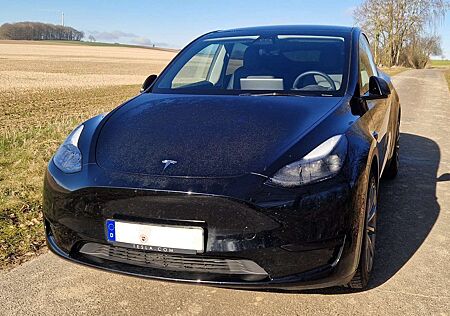 Tesla Model Y Standard Range RWD - Matrix-LED