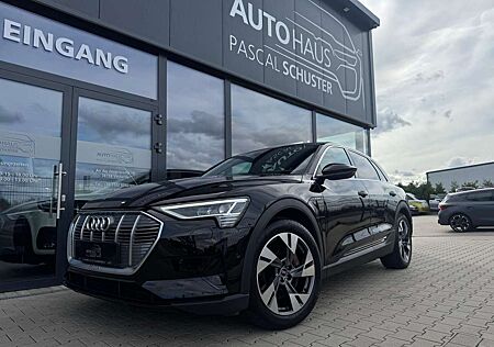 Audi e-tron 50 quattro/LED/NAVI/KAMERA/LUFTFEDERUNG/