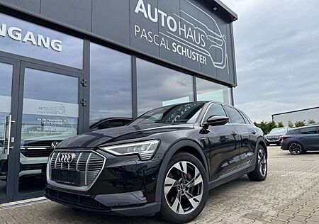 Audi e-tron 50 quattro/LED/NAVI/KAMERA/LUFTFEDERUNG/