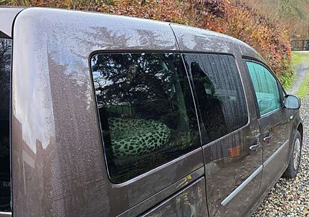 VW Caddy Volkswagen 1.2 TSI (5-Si.)Trendline