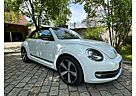 VW Beetle Volkswagen The Cabriolet 1.2 TSI Club Bestzustand