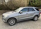 Mercedes-Benz ML 250 CDI BlueTec (166.004)