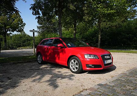 Audi A3 1.6 - CarPlay/AndoidAuto - Panoramadach
