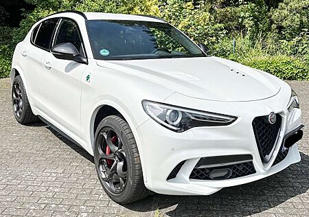 Alfa Romeo Stelvio V6 2.9 Bi-Turbo AT8-Q4 Quadrifoglio