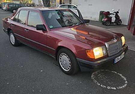 Mercedes-Benz E 230 H KENNZEICHEN