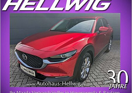 Mazda CX-30 2.0l (150PS) Selektion Bose 360° Kamera Matrix-LED