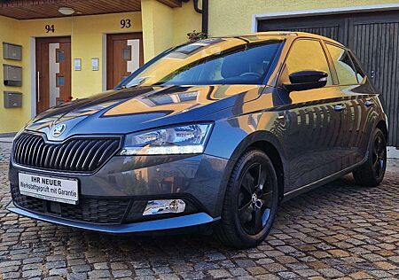 Skoda Fabia "Ambition" DSG_Klima_Sitzh_8 fach..