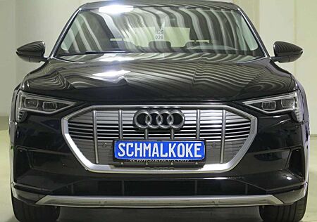 Audi e-tron 50 quattro advanced Navi DAB LM20