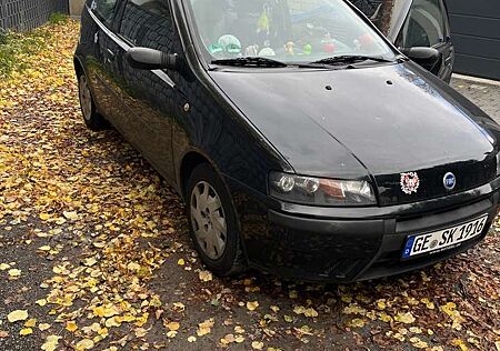 Fiat Punto gebraucht kaufen Fiat Punto 1.2 8V Dynamic