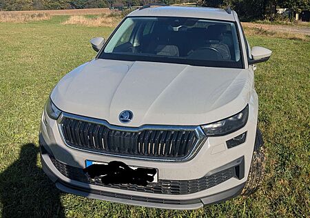 Skoda Kodiaq 2.0 TDI 4x4 DSGClever