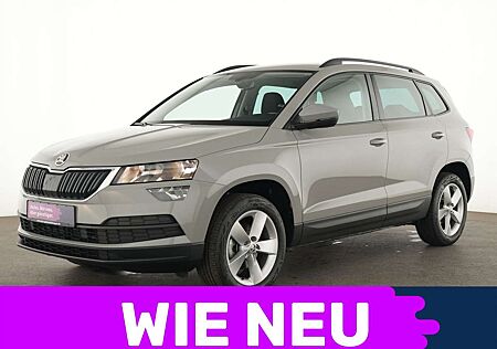 Skoda Karoq Ambition Business-Paket Amundsen|PDC