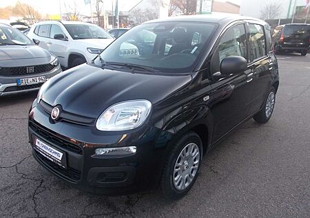 Fiat Panda Pandina ICON 1.0 Hybrid