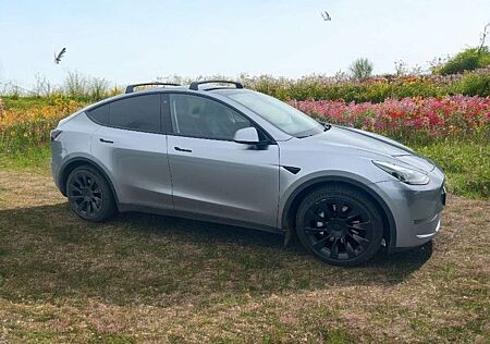 Tesla Model Y Long Range Dual Motor AWD